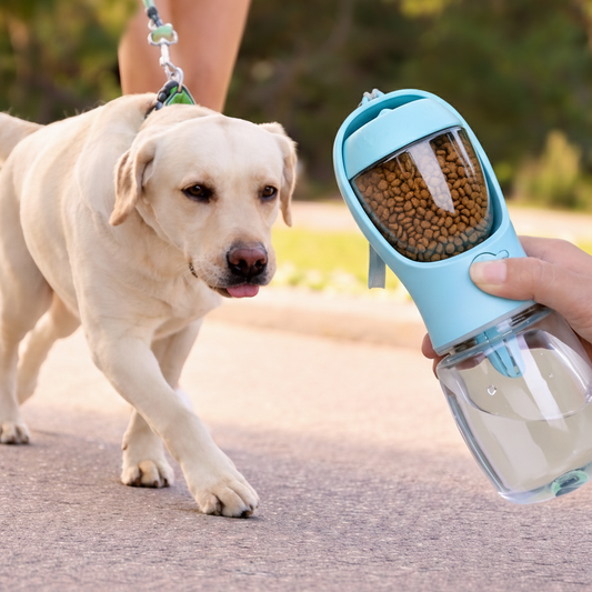 Nomad 2-in-1 Portable Pet Travel Bottle